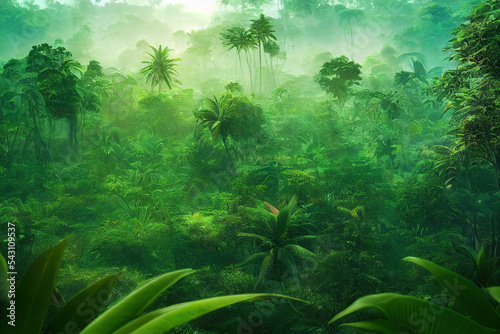 beautiful lush rainforest jungle landscape background