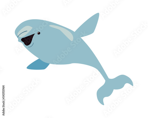 flat glad beluga