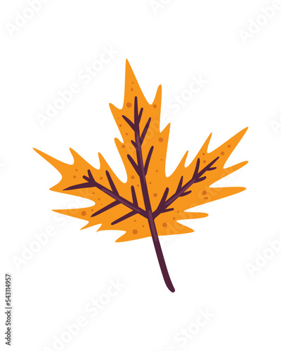 flat fall maple leaf
