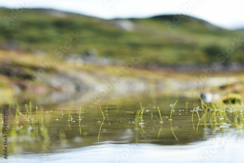 Lakeview from the Valdresflyi in Valdres, Norway photo