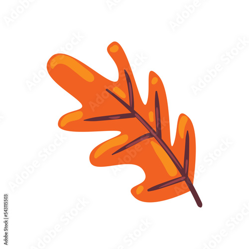flat dry leaf