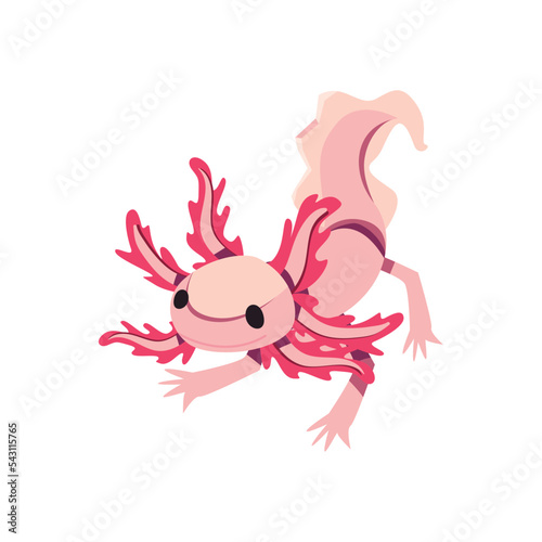 flat colored axolotl