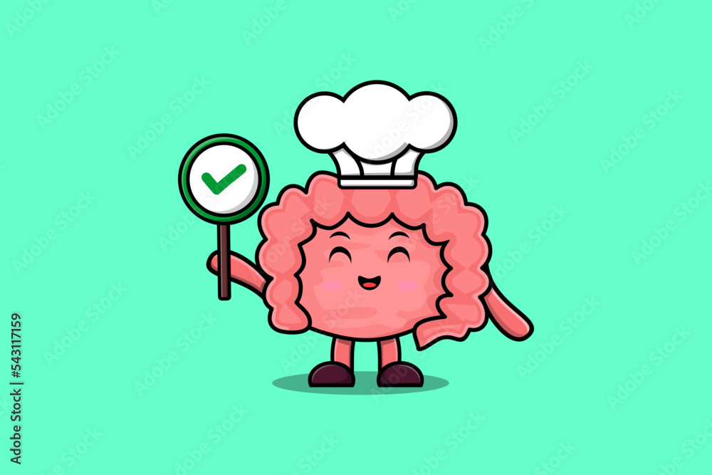 Cute cartoon Intestine chef character holding correct sign board in vector character illustration