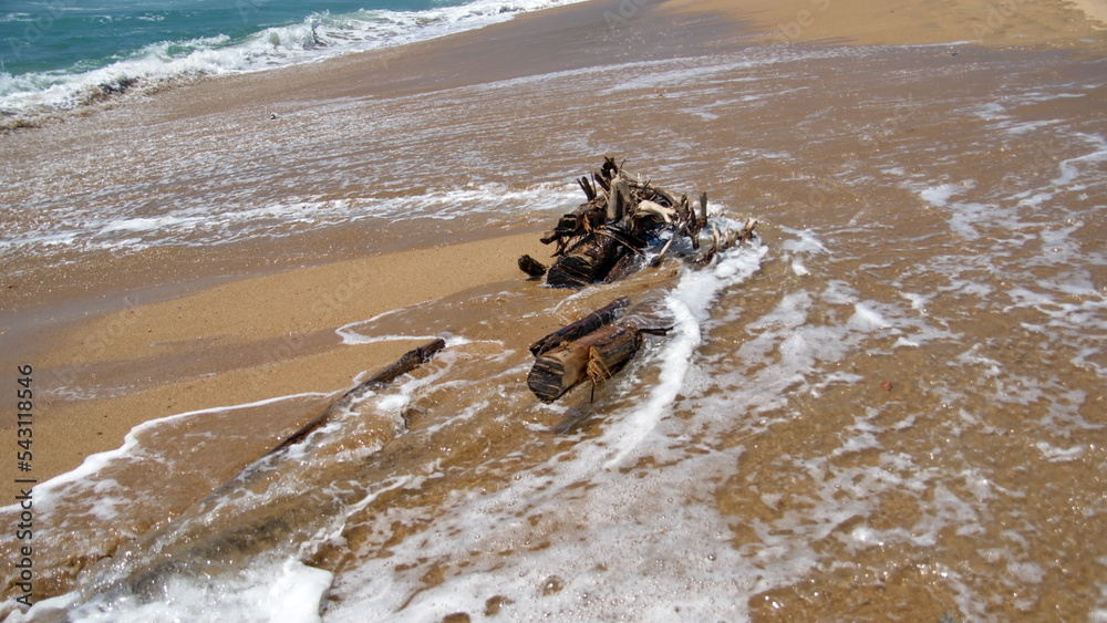 Obraz premium Waves breaking on the beach around a piece of driftwood, in Zipolite, Mexico