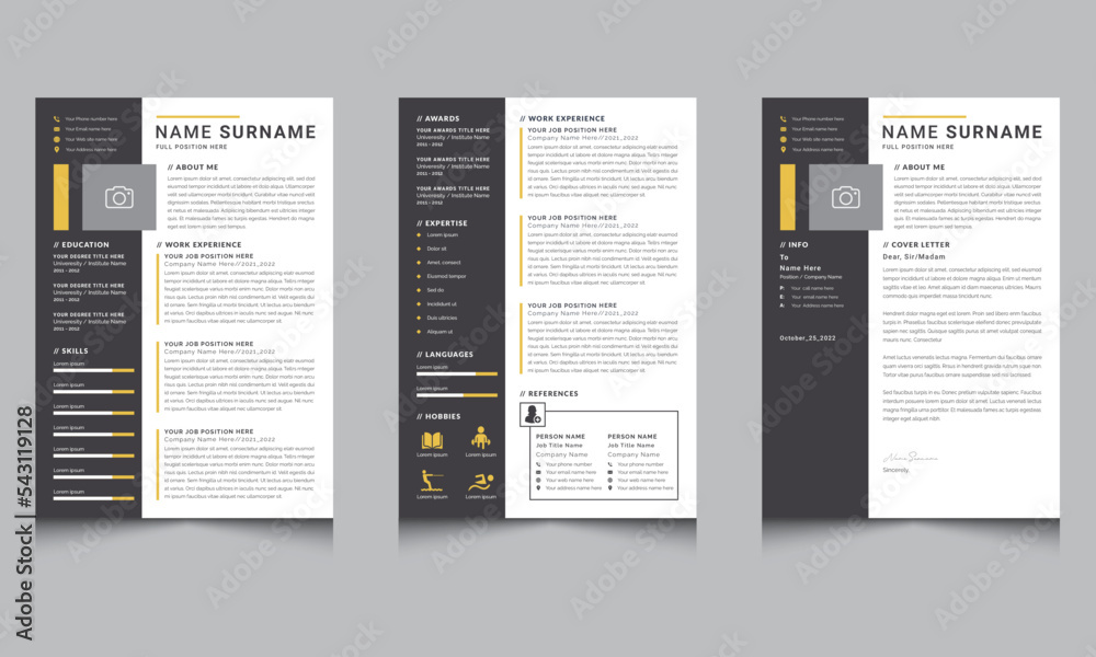 Clean Professional Resume Layout Vector Template for Job Applications ...