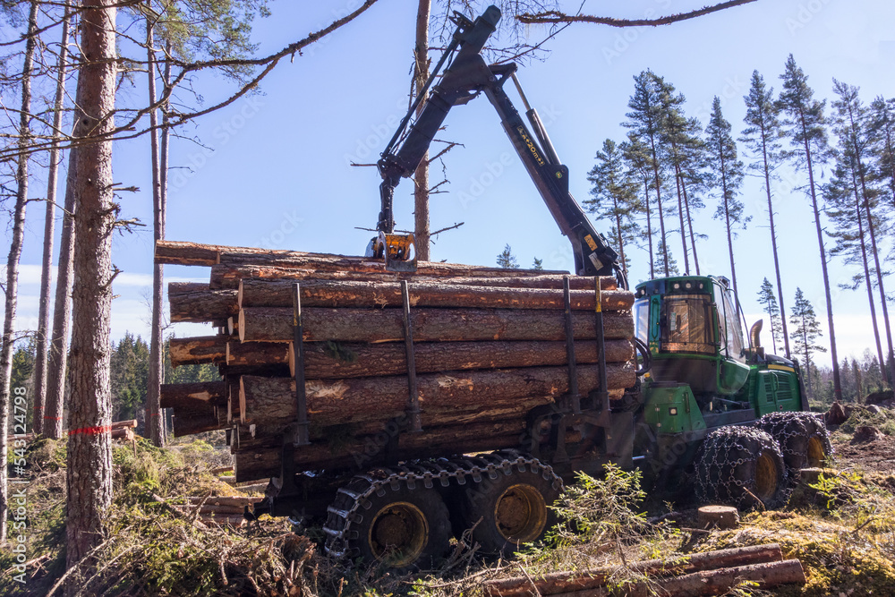 Forwarder with a load of lumber in the forest - obrazy, fototapety, plakaty 