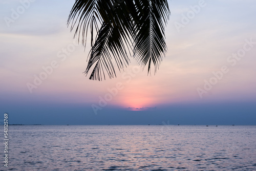 sunset sky sea twilight palm leaf silhouette