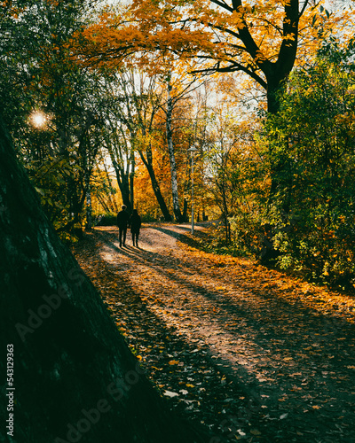 Photography PEOPLE WALKING IN THE AFTERNOON IN STOCKHOLM #3