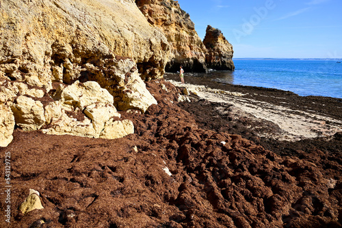 Konstfotografi Camilo beach, Lagos, Algarve, Portugal, Europe -  since 2020 beaches of western