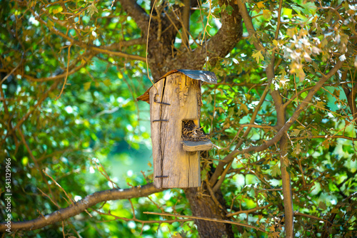 Print op canvas Birdhouse on a tree in autumn