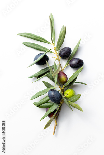 olives and olive branches on a white background.