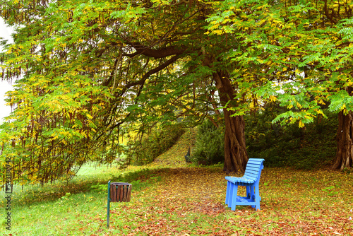 Autumn landscape. Fall park with yellow trees. A blue bench under a tree.