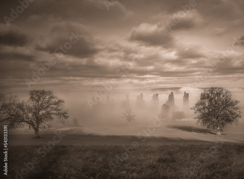 misty morning mist