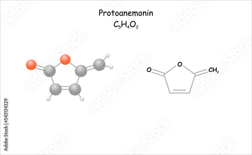 Stylized molecule model/structural formula of protoanemonin