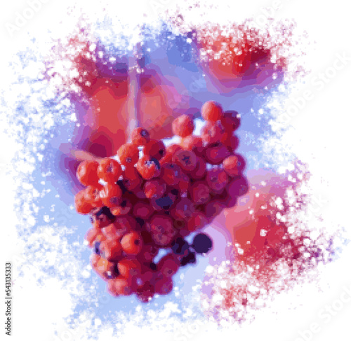 Pixelated a bunch of rowanberry on a snow-covered branch.  Frostbite on the edge of the image. Panel, embroidery. Ability to change to any size without loss of quality. Vector.