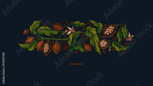 Cocoa fruit, beans. Organic chocolate. Art pattern