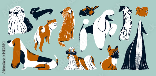 Cute dogs set. Funny doggies, puppies of different breeds. Canine animals pets. French bulldog, Akita, dachshund, dalmatian, royal poodle and shih tzu. Isolated colored flat vector illustrations