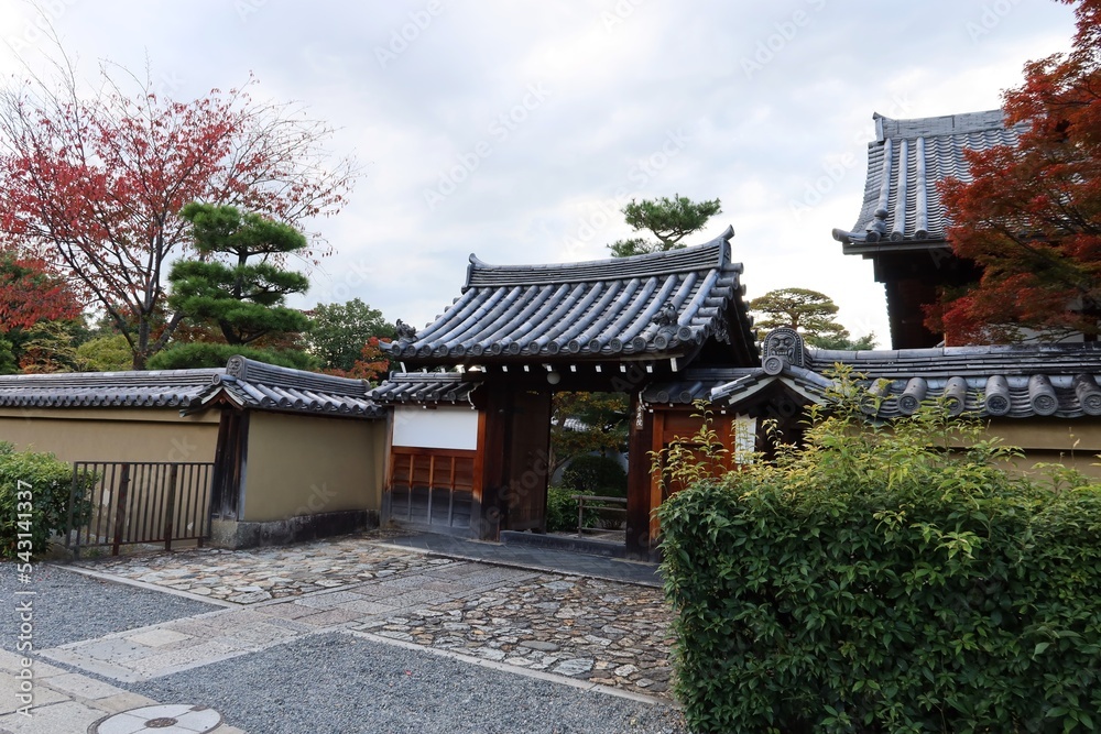  A Japanese temple : a scene of the entrance gate of Kingyu-in Subordinate Temple in the precincts of Myoshin-ji Temple in Kyoto City 日本のお寺：京都市の妙心寺境内にある金牛院の入り口門の風景　
