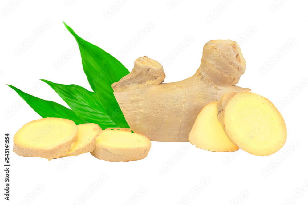 ginger, fresh ginger, sliced particles, template for design and collage