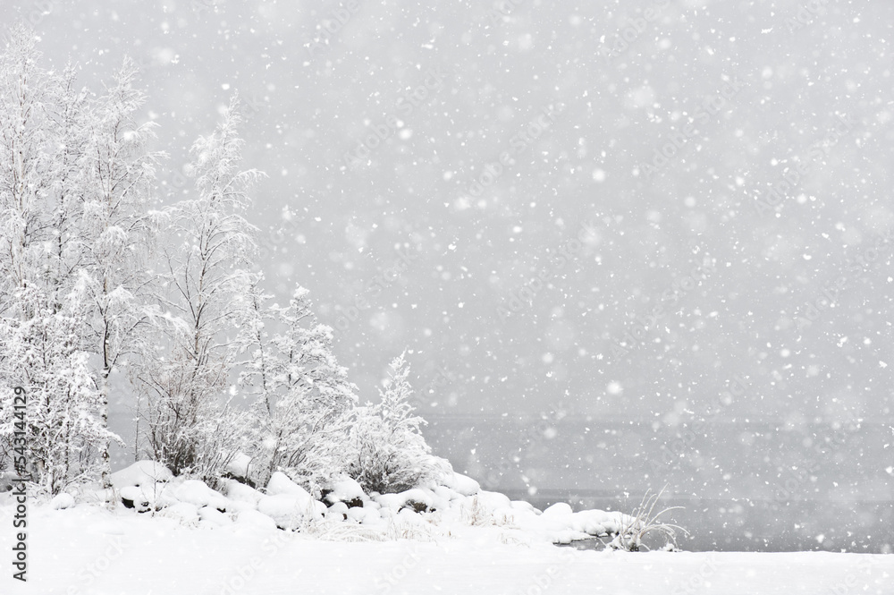 Winter landscape. Snowfall by the lake. Ground and trees covered in snow.  foto de Stock