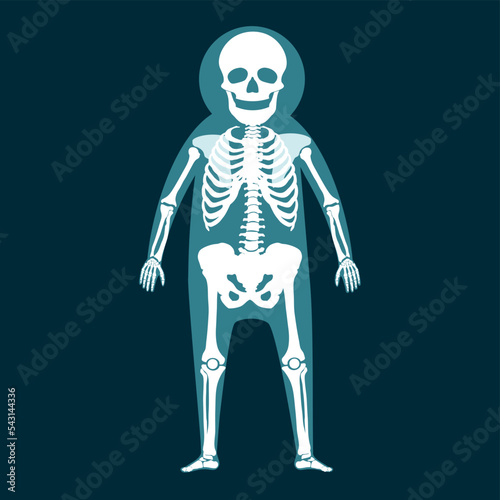 full length x-ray of a person