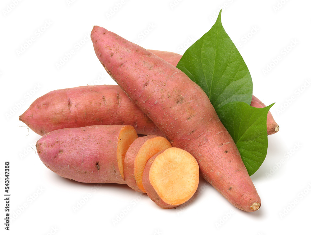 sweet potato on the white background sweet potato on the white background