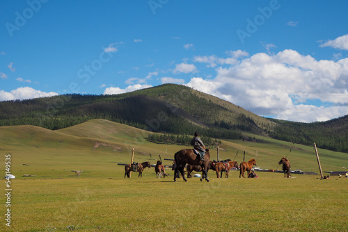 Boy on horse in front of others attached horses in Orkhon Valley photo