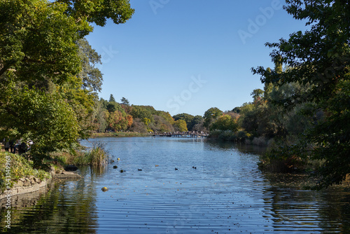 Park in TOKYO photo