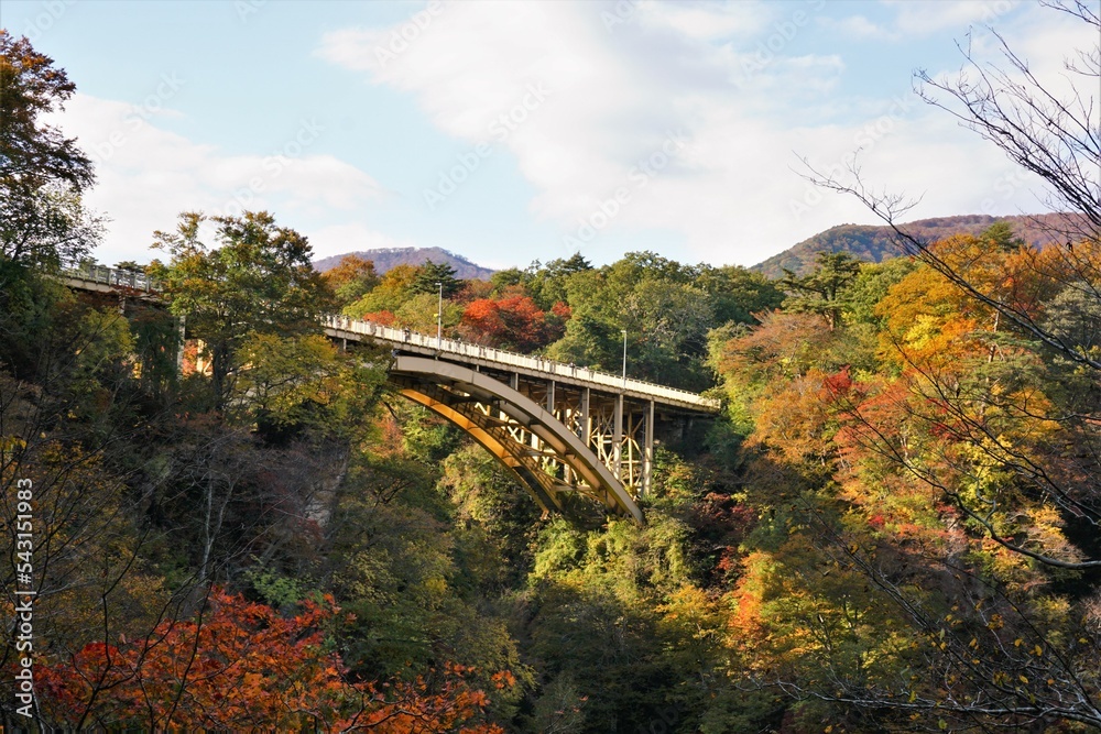鳴子峡の紅葉　宮城県観光地
