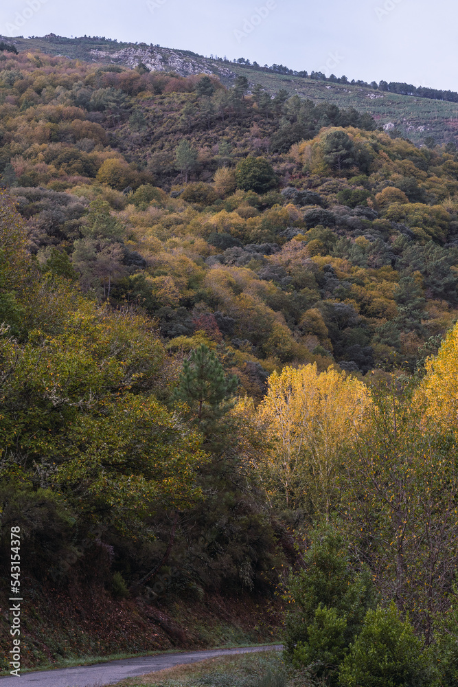 Mountain landscape in autumn time