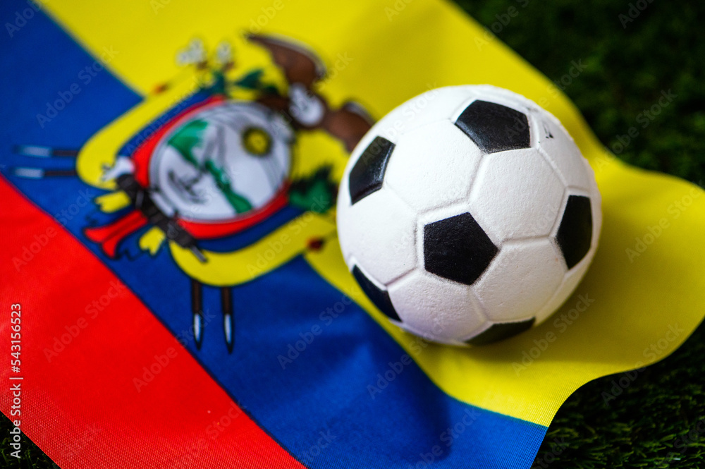 Ecuador national football team. National Flag on green grass and soccer
