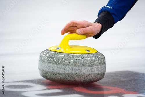 Curling rock on the ice 