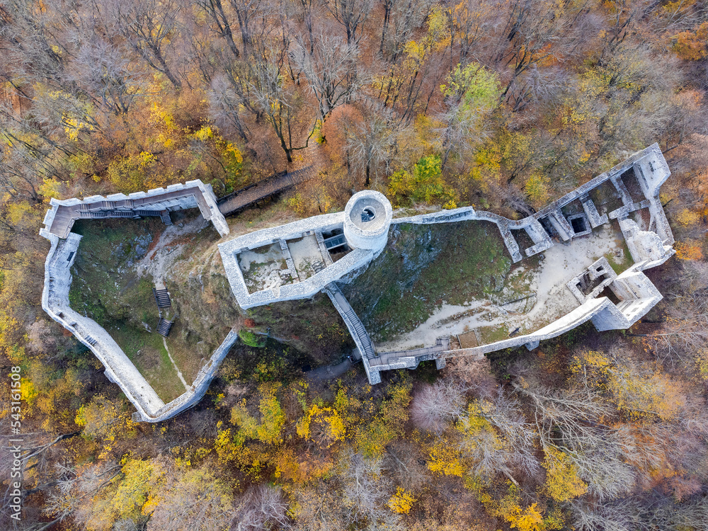The castle ruins as seen from above. The castle in the forest, photo from a drone. Autumn landscape.
