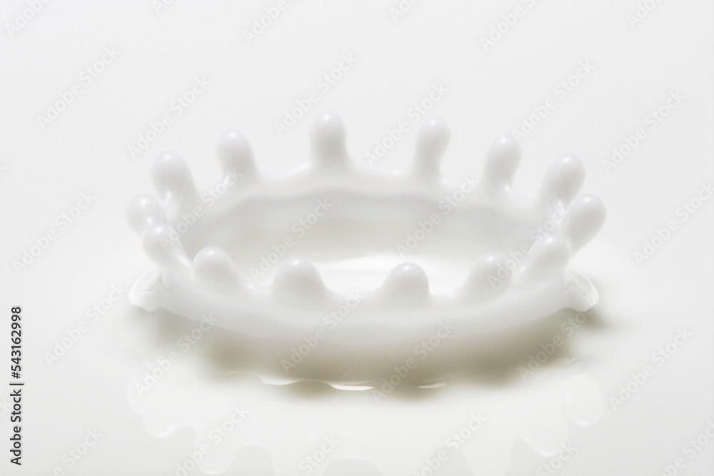 milk crown phenomenon milk crown phenomenon