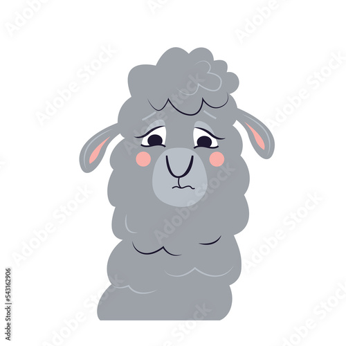 Vector cartoon animal character. A head of upset alpaca isolated on a white background. Sad nice lama.