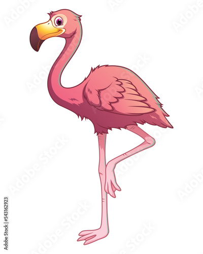Flamingo Cartoon Animal Illustration