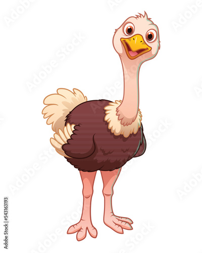 Little Ostrich Cartoon Animal Illustration