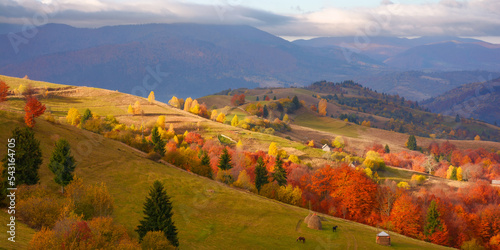 amazing view of carpathian mountains on an autumn day. forested hills in fall colors rolling in to the distant rural valley. low heavy clouds on the sky. scenery in dappled light