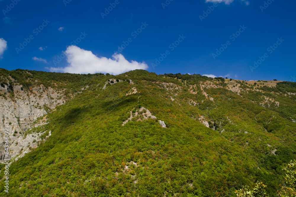 Fototapeta premium Vista lungo il sentiero (Orrido di Cupi di Fiamma) sul Monte Nerone