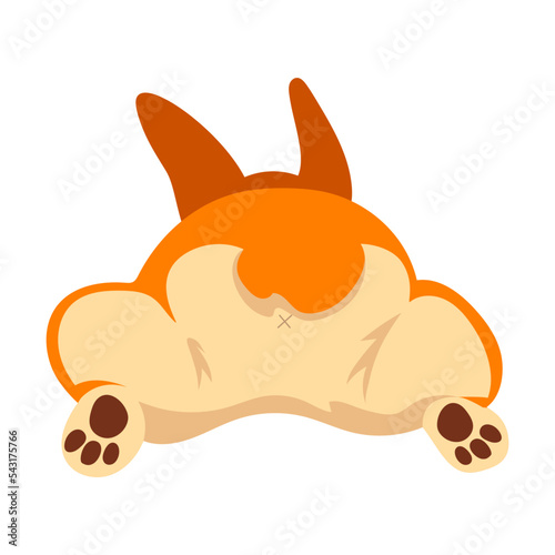 Corgi dog character turned away offended. Vector illustration of corgi isolated on white. Pet care, domestic animals