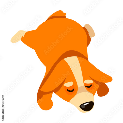 Corgi dog character lies tired and sleepy. Vector illustration of corgi isolated on white. Pet care, domestic animals