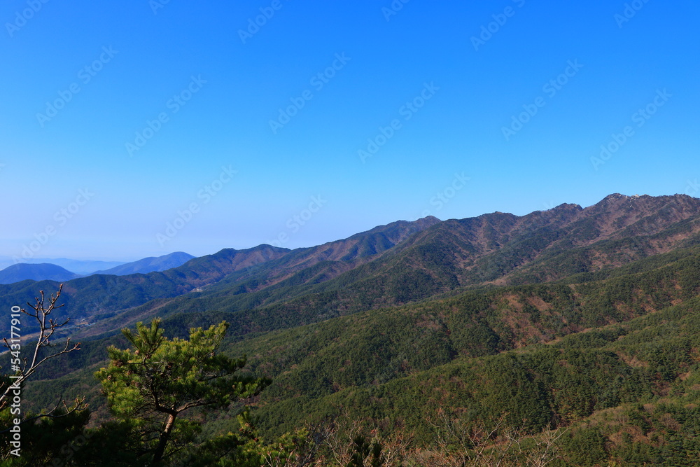 대한민국 경상북도 대구에 있는 팔공산의 아름다운 가을 풍경이다.