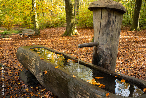 Fresh drinking spring water fountain in a forest in Europe. Close up shot autumn foliage, no people. Wooden carved fountain bowl with metal tap