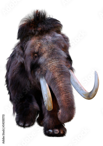 3D Rendering Woolly Mammoth on White