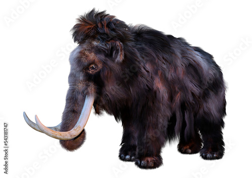 3D Rendering Woolly Mammoth on White