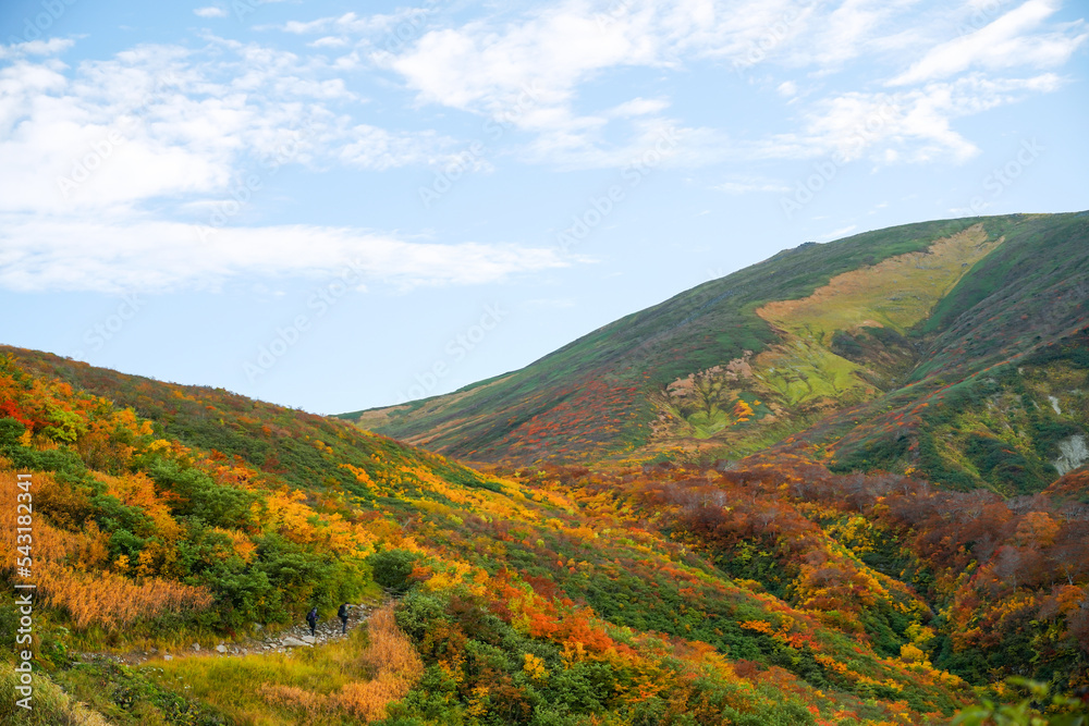 Obraz premium 月山の紅葉