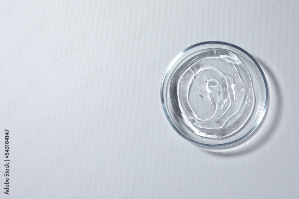 Petri dish with liquid on white background, top view. Space for text Petri dish with liquid on white background, top view. Space for text