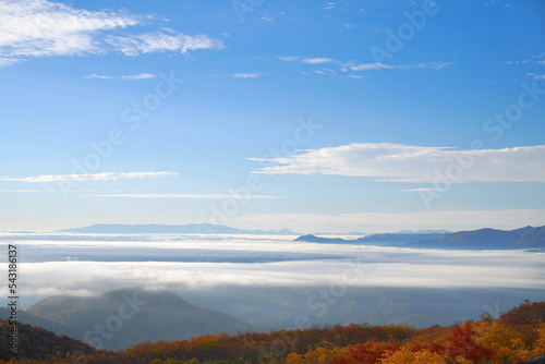 雲海