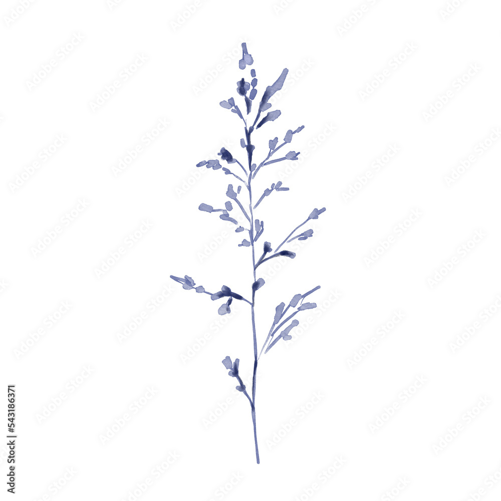 Watercolor illustration of navy blue spikelet