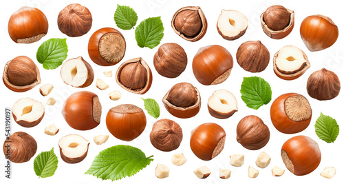 Set of hazelnuts, green leaves and small nut pieces isolated on white background. Collection #2-3 photo